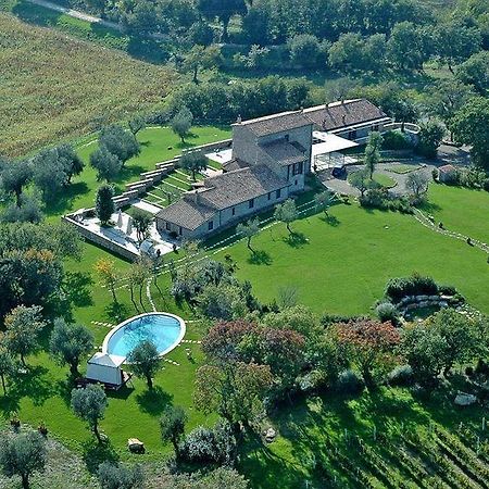 Fattoria Pianetti Guest House Manciano Exterior photo